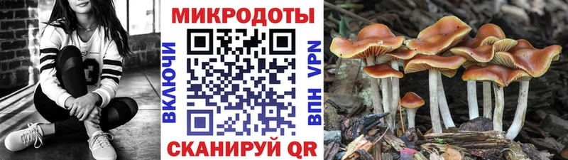сколько стоит  Рыльск  Галлюциногенные грибы MAGIC MUSHROOMS 